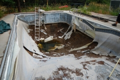 Aurora pool (aluminum walls requiring renovation and skimmer work)